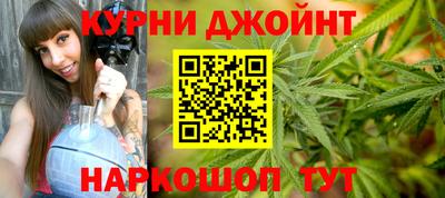 мяу мяу мука Новозыбков